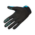 Black glove with blue accents on a white background